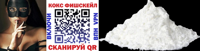 Купить закладки Новодвинск COCAIN VHQ