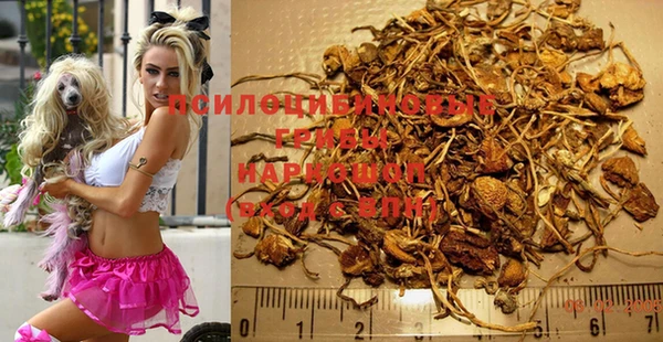 герыч Вязьма